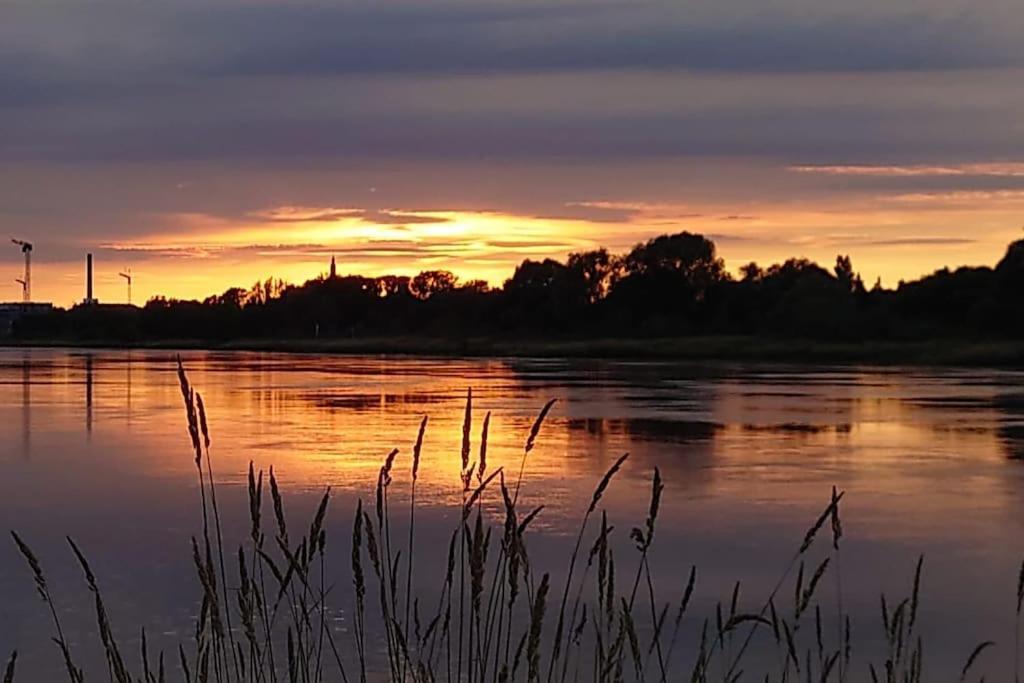 Pool, Sauna Und Blick Ins Gruene Wittenberg Eksteriør billede